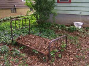 "When things dream" continued, back yard