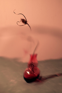Still life in red with dry grass and a glass vase
