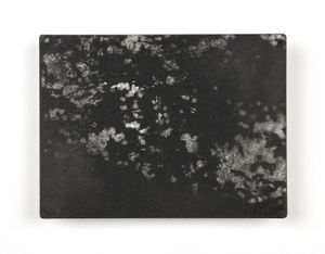 Elegy (Summer Leaves)