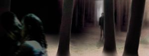 The Walk 8 © Frank Diaz