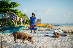 Impact of overfishing #11
