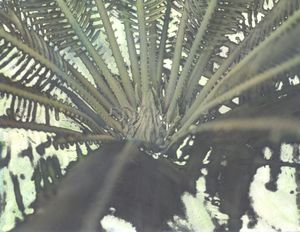 Untitled 4