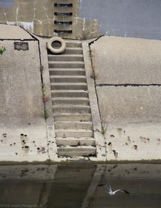 Tire on the bank of the river