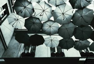 Umbrella Sky Project 16