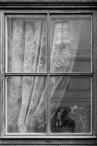 Lace curtain with plastic plant 1