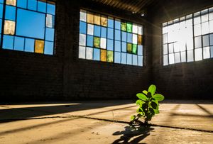 Reclaiming Space
