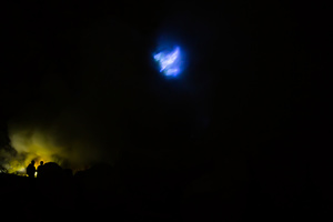 Blue ghost