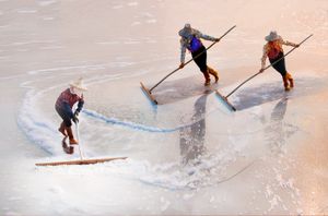 Salt making