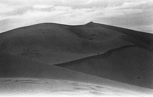 Dune #14