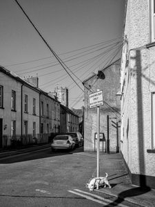 Towards Morton Street W