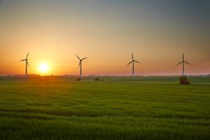 Windmills in the sun set
