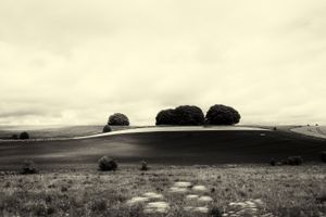 temporary peace