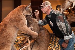 Dust to dust, World Taxidermy Championships, 2013 © Arthur Drooker