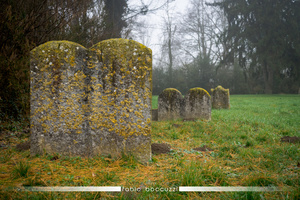 Old graves