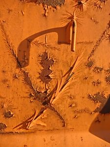 Rust never sleeps