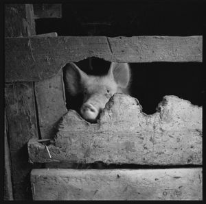 © romano p. riedo | fotopunkt.ch
