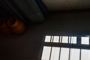 From the "Fake Memories" series / Della serie "Ricordi Fasulli"