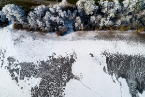 Lakeshore Operations | Ground Level Series #02