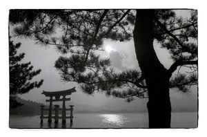 Mjyajima Tori