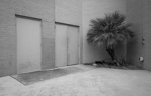 Untitled (Exit Doors and Palm Tree), San Antonio, TX, 12 3 22