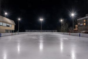Lac Ste. Marie Rink