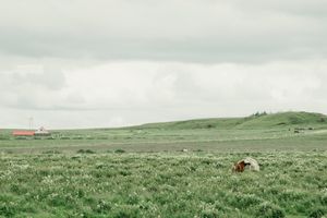 In between