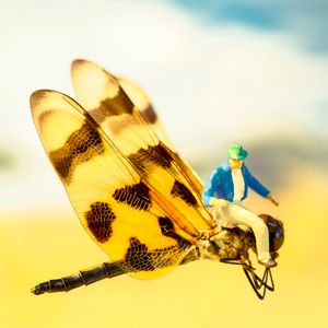 Axle Dragonfly