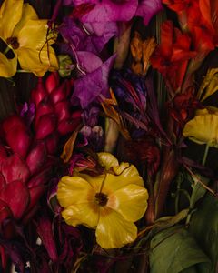 There is beauty in death