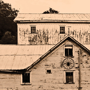 Farm Remnant-Hobart, NY
