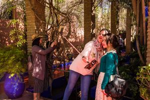Marrakesh #16