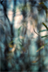 In a Landscape #2