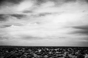 Horizonte