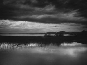 Beside the water II