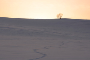 Winter Horizon in the Vicinity -11