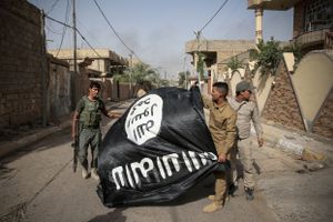 fallujah in war