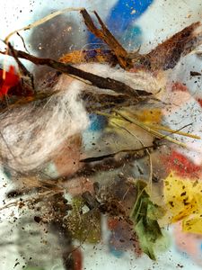 Abstract #8