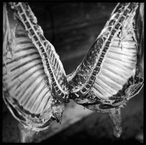 © romano p. riedo | fotopunkt.ch