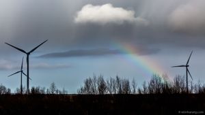 rainbow