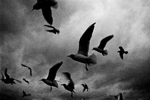 Untitled 04, from the series "Swell" © Mateusz Sarello