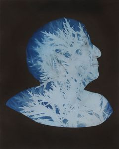 Ann with Artemisia Ludovicinia (Artemisia) impression, 2013, from the series Natural History. Unique cyanotype on archival pigment print, 16” x 20”
