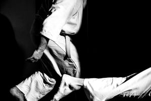 Aikido 6