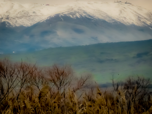 VIEW TO THE MOUNTAIN