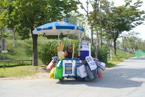 Ice cream and mats seller