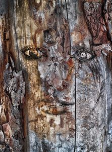 © John Bernhard