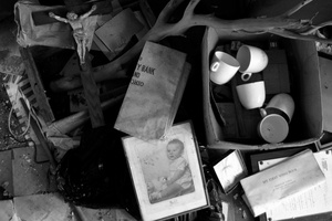 Remains (Found Still Life)