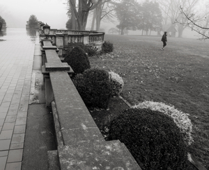 Terrace with Walker, New Canaan, CT, 12 12 20