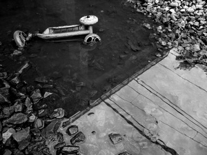 Scooter - Cleveland, 2011