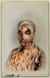Aviary