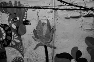 Burj Barajneh Camp, Beirut, Lebanon. 2018.