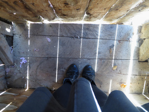 In the Outhouse
